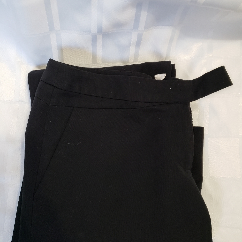 Cassis Women's Dress Pant